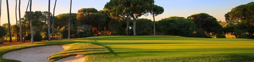 Dom Pedro - The Old Course cover image