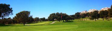 Golf course - Golf Bonalba